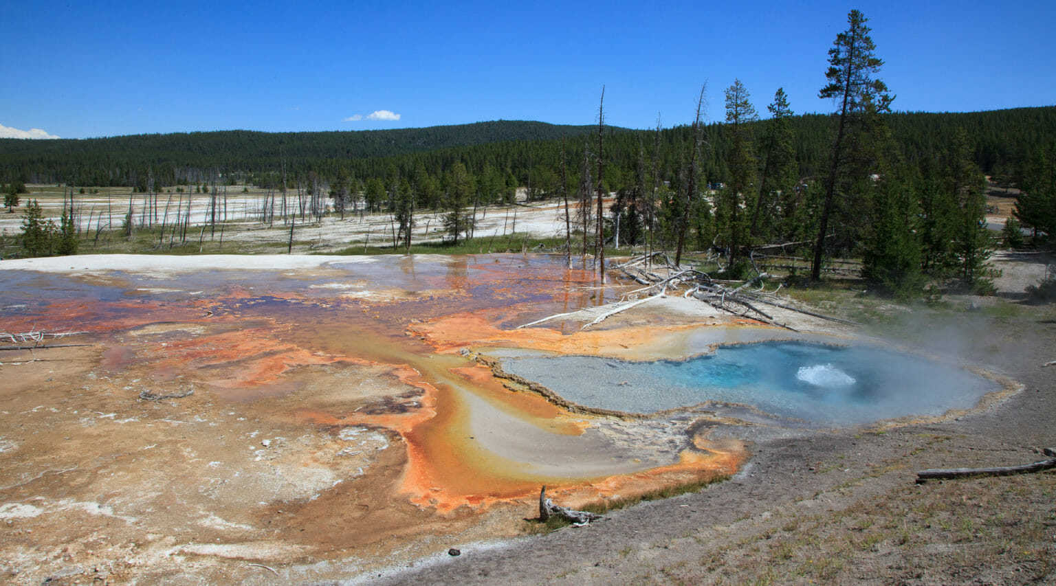 photography tours yellowstone