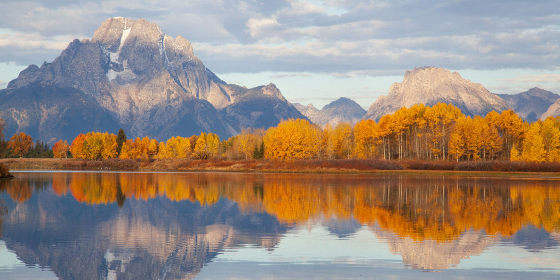 Mount Moran, An Iconic Peak In Grand Teton National Park IIs Flanked By Vibrant Fall Colors Of Yellows Red, and Orange