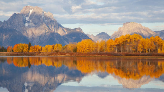 Mount Moran, An Iconic Peak In Grand Teton National Park IIs Flanked By Vibrant Fall Colors Of Yellows Red, and Orange