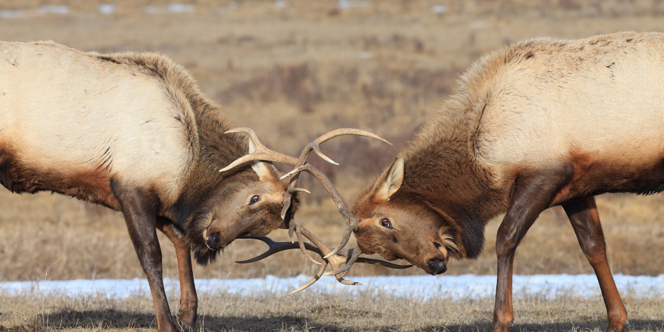 Grand Teton Tours for Every Season | What Season is Best To Visit