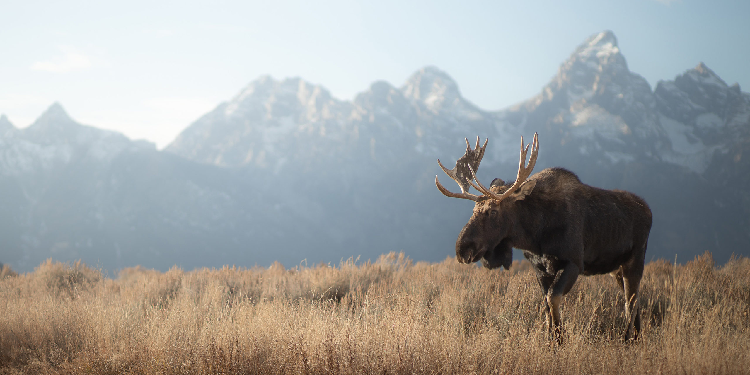 Grand Teton National Park Highlights Grand Teton National Park Highlights