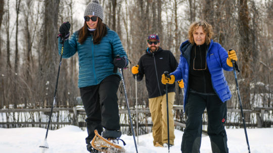 Three People Venture Out On Snowshoes On A Guided Tour With Jackson Hole Wildlife Safaris In A Cottonwood Clearing In Jackson Hole