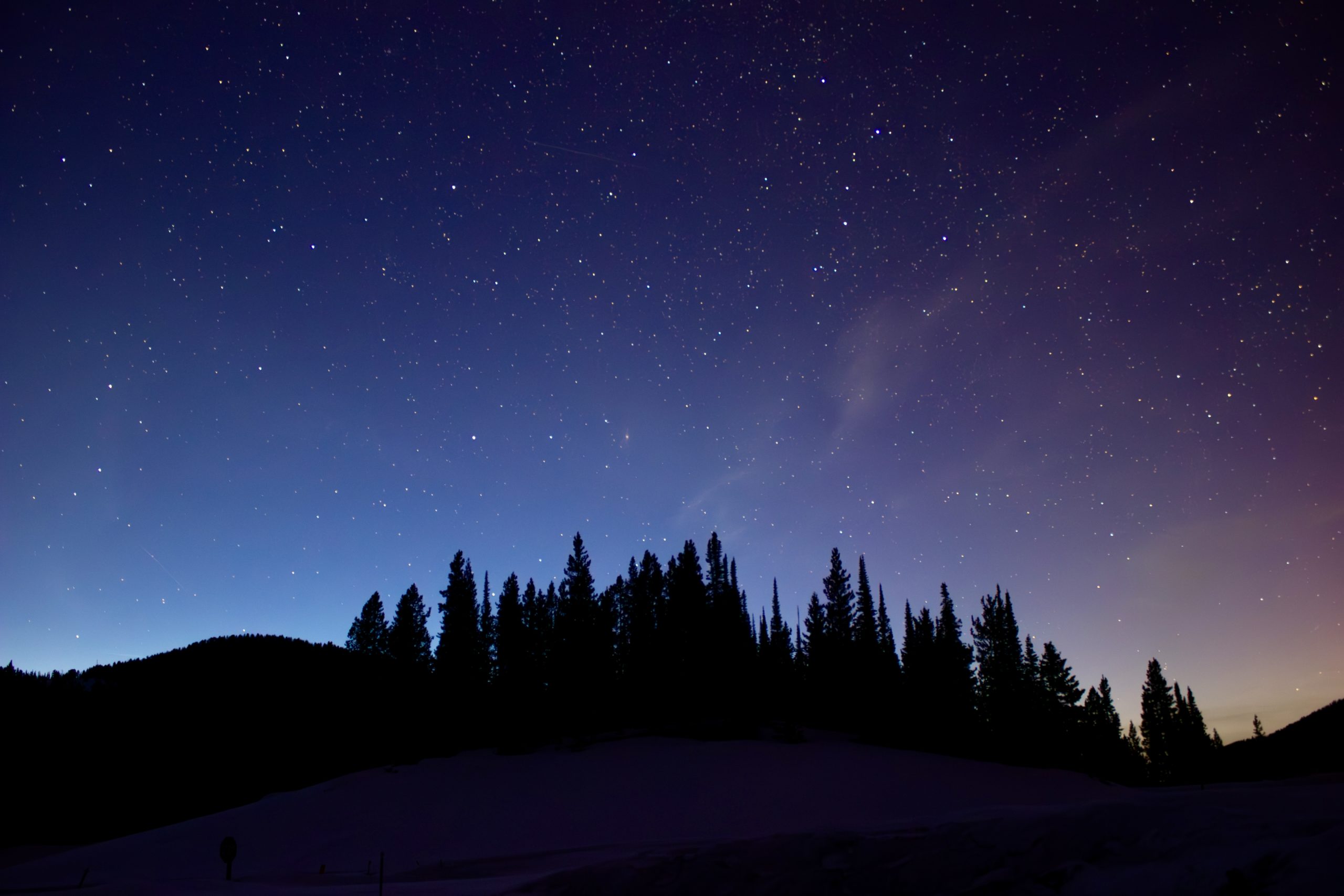 Treeline-Landscape-scaled.jpeg
