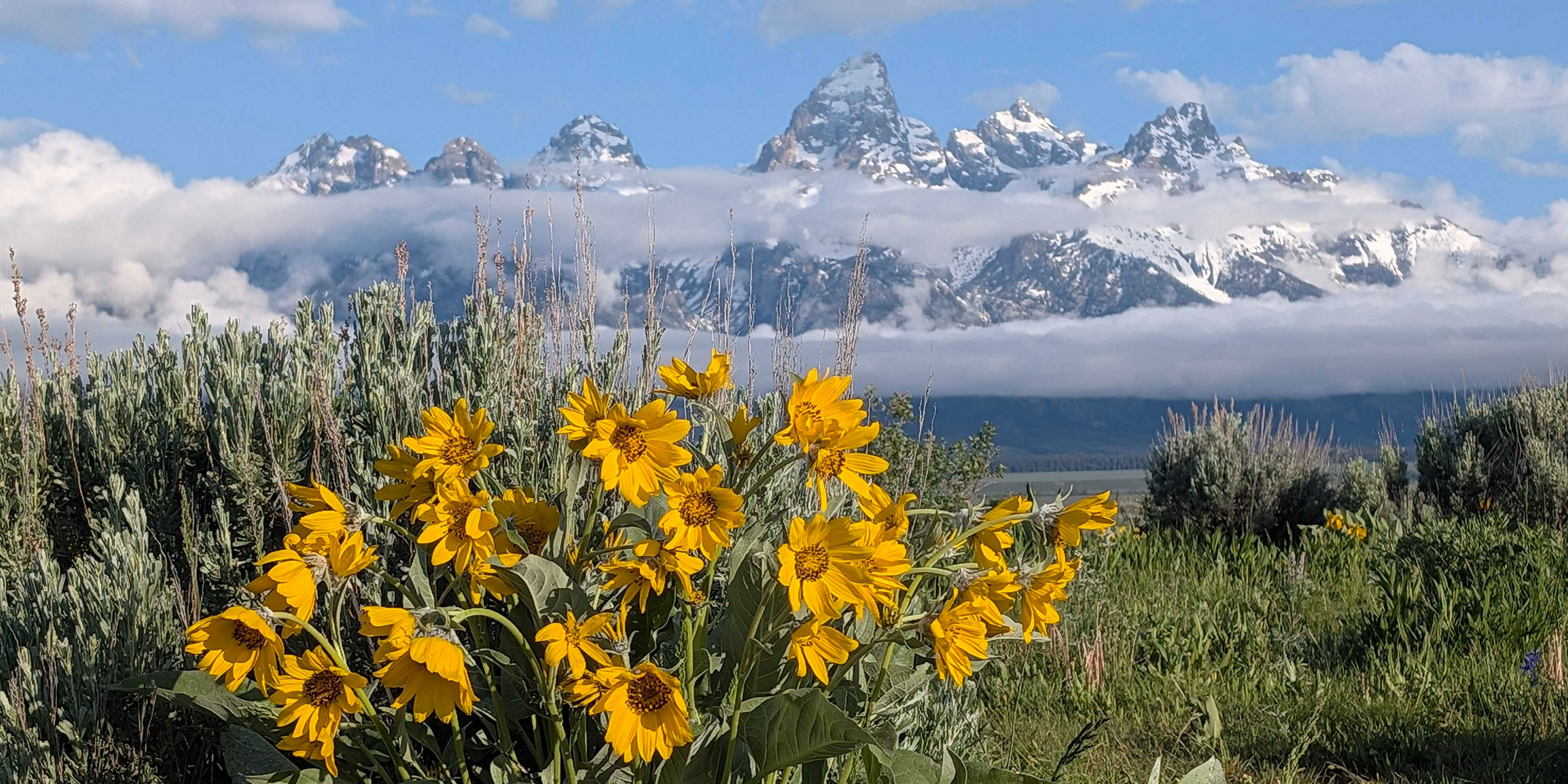 Best Time to Visit Jackson Hole: A Month by Month Guide